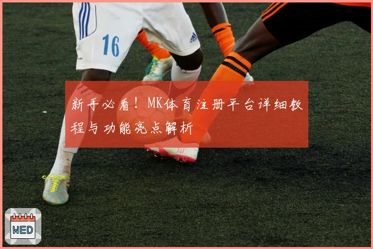 新手必看！MK体育注册平台详细教程与功能亮点解析